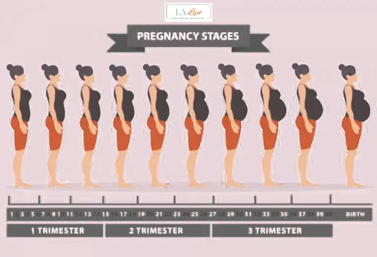 First Trimester (Weeks 1–12): Early Changes You Might Not Notice Godalming